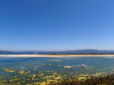 Lago dos Nenos, coa barreira de dunas da praia de Rodas ao fondo.