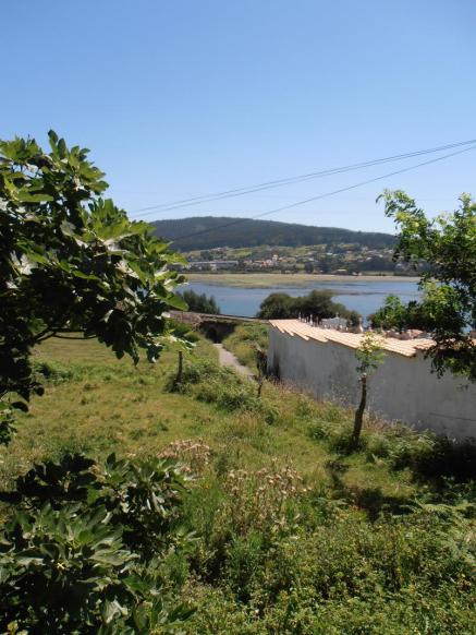 Vista do cemiterio e a Ría de Ferrol